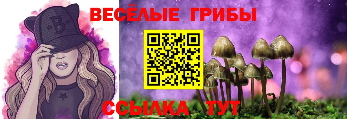 Псилоцибиновые грибы MAGIC MUSHROOMS Сунжа